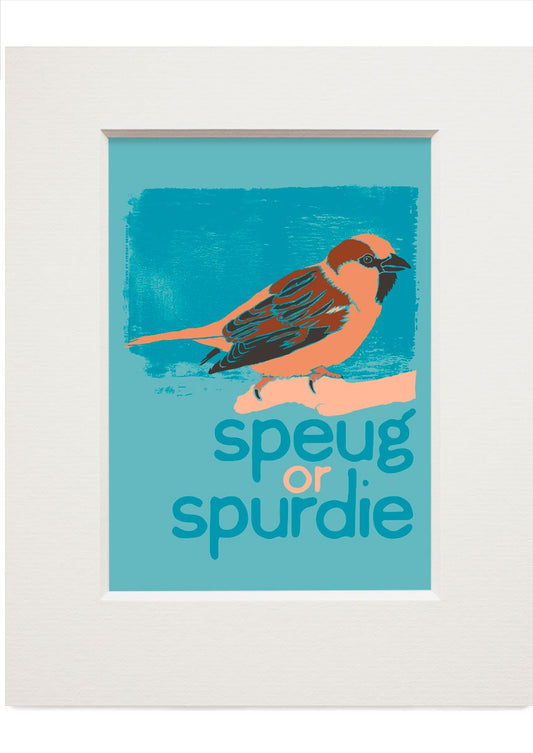 Speug or spurdie – small mounted print - Indy Prints by Stewart Bremner