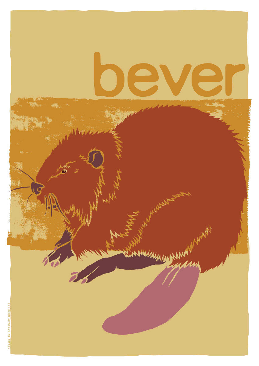 Bever – poster