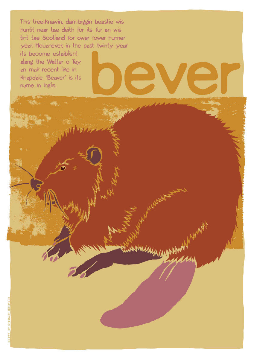 Bever – poster