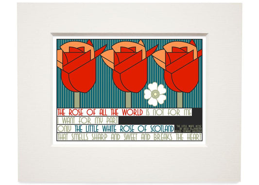 The little white rose of Scotland – small mounted print - Indy Prints by Stewart Bremner