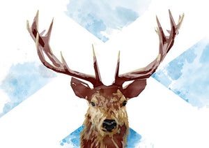 The Scottish stag – giclée print - Indy Prints by Stewart Bremner