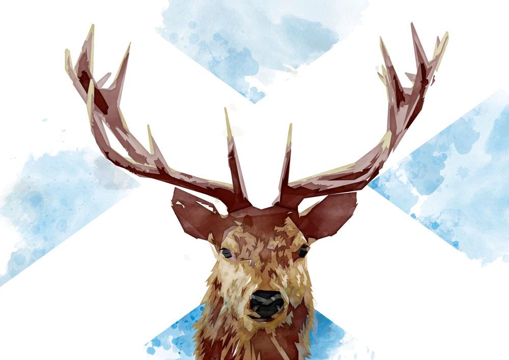 The Scottish stag – poster - Indy Prints by Stewart Bremner