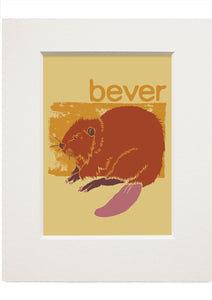 Bever – small mounted print - Indy Prints by Stewart Bremner