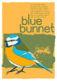 Blue bunnet – giclée print – Indy Prints by Stewart Bremner