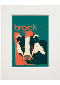 Brock – small mounted print - Indy Prints by Stewart Bremner