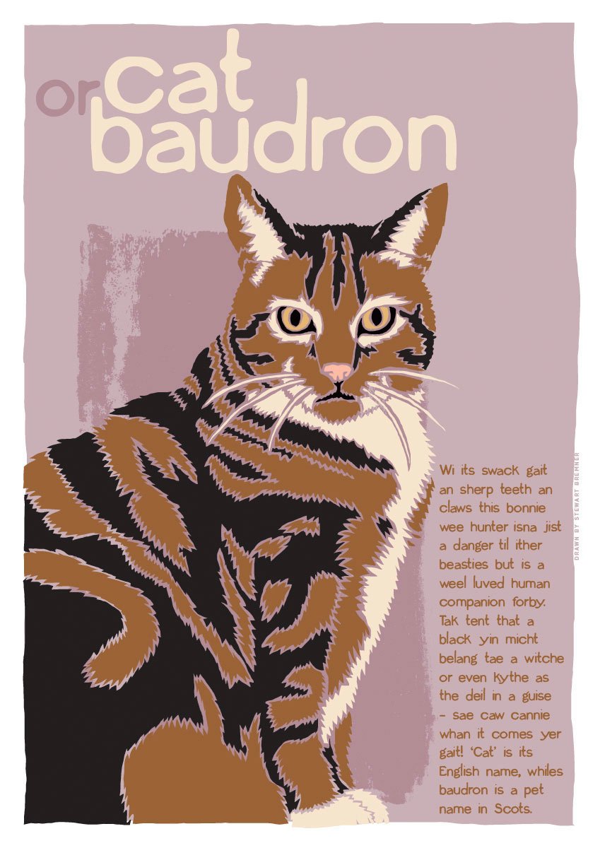 Cat or baudron – poster – Indy Prints by Stewart Bremner