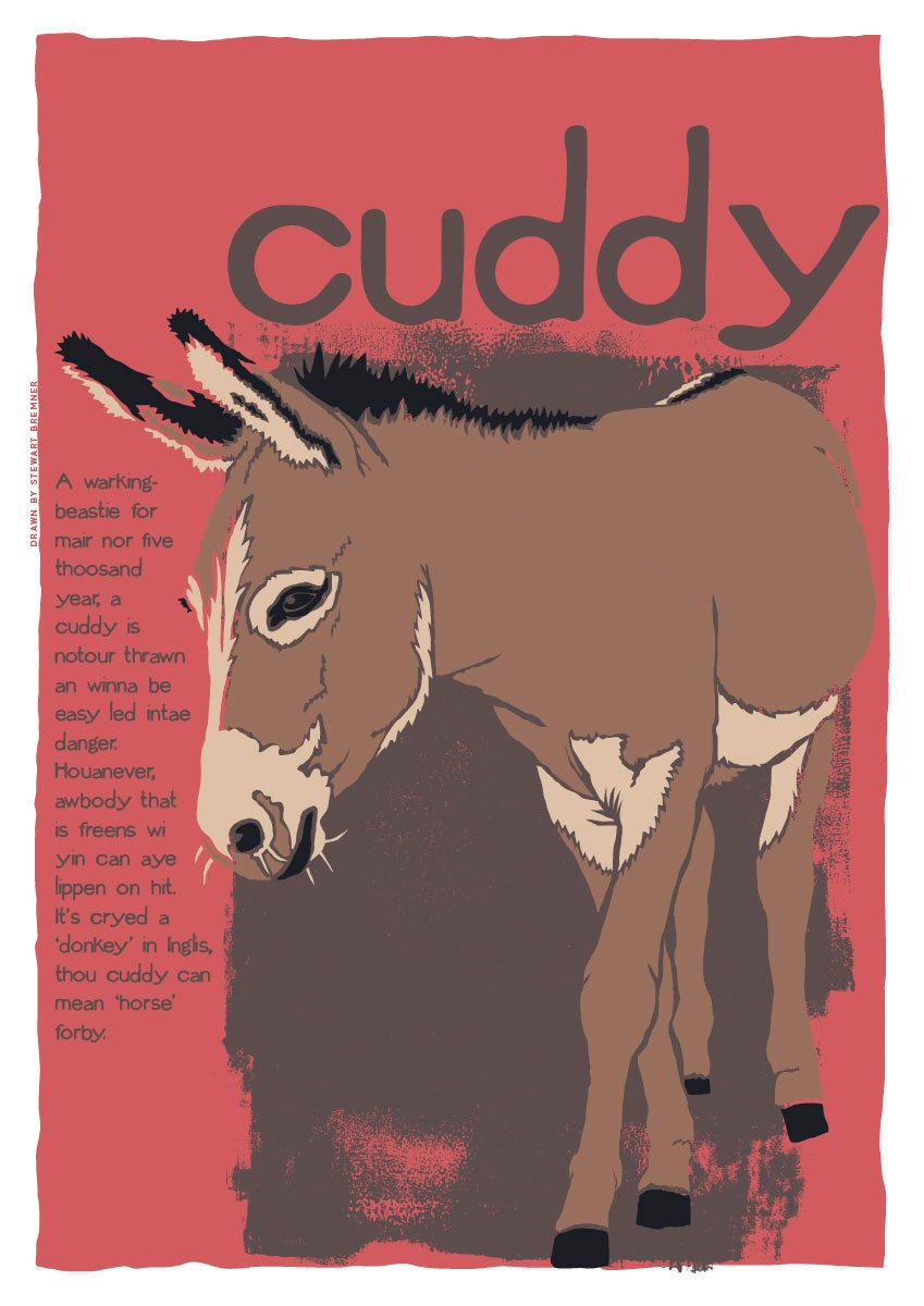 Cuddy – poster – Indy Prints by Stewart Bremner
