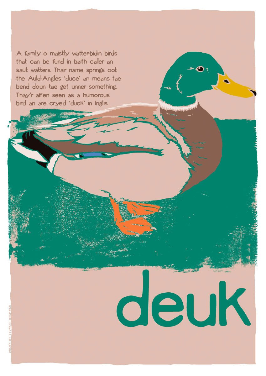 Deuk – poster – Indy Prints by Stewart Bremner