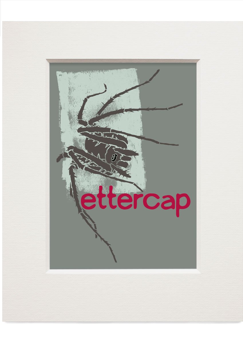 Ettercap – small mounted print - Indy Prints by Stewart Bremner