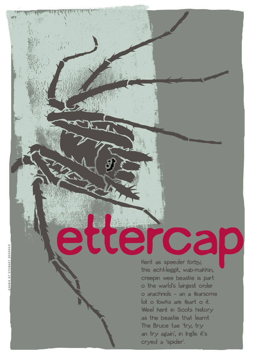 Ettercap – poster – Indy Prints by Stewart Bremner