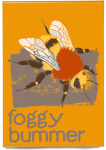 Foggy bummer – magnet – Indy Prints by Stewart Bremner