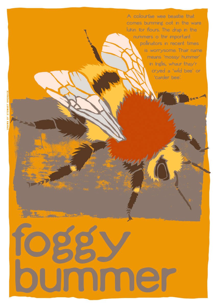 Foggy bummer – poster – Indy Prints by Stewart Bremner