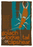 Golach or forkie-tail or clipshear – giclée print – Indy Prints by Stewart Bremner
