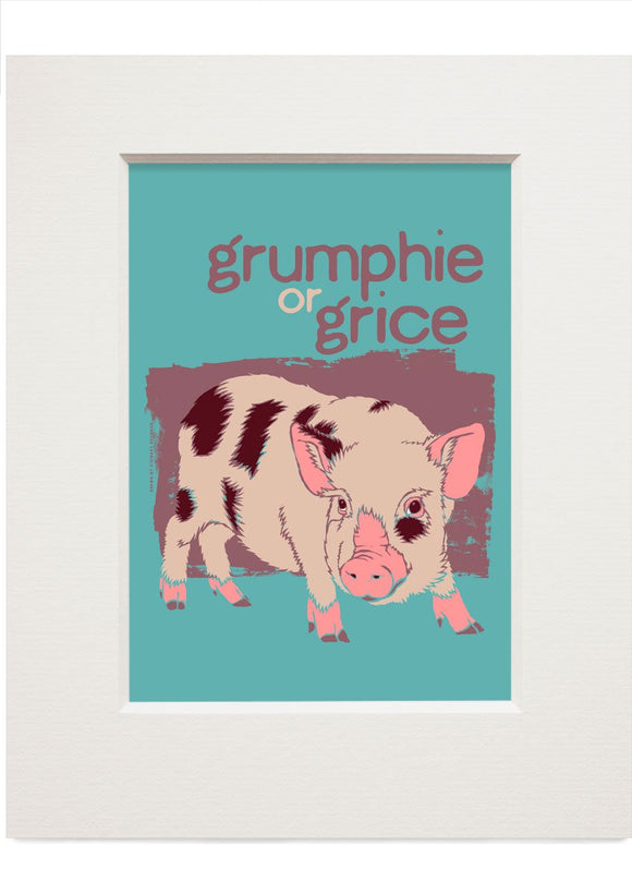 Grumphie or grice – small mounted print - Indy Prints by Stewart Bremner