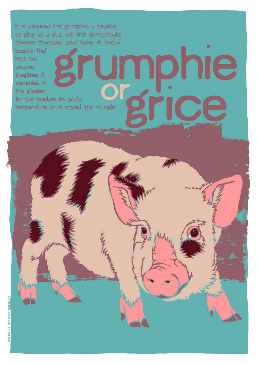 Grumphie or grice – giclée print – Indy Prints by Stewart Bremner