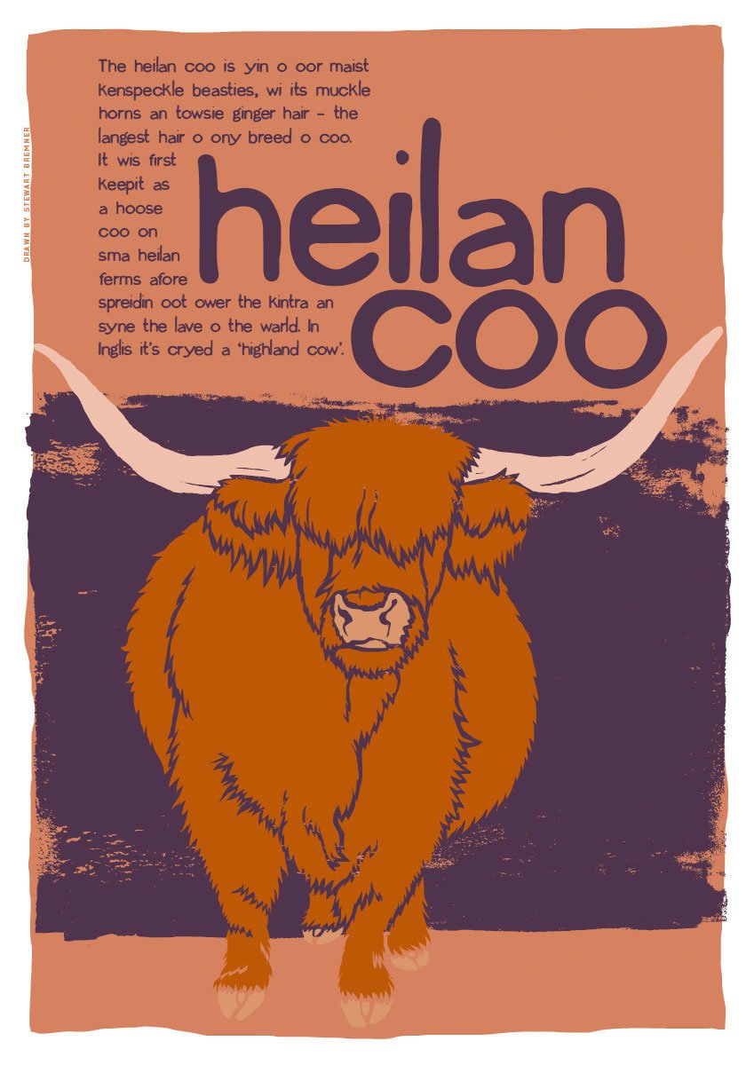 Heilan coo – giclée print – Indy Prints by Stewart Bremner
