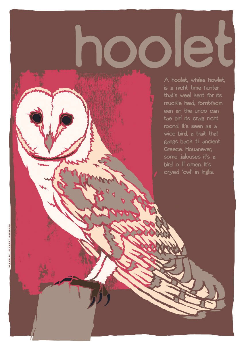 Hoolet – poster – Indy Prints by Stewart Bremner