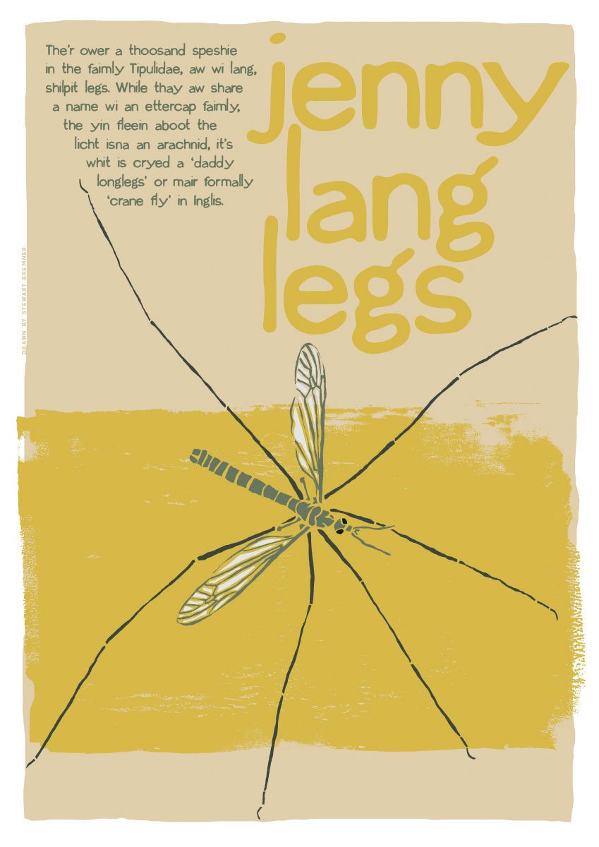 Jenny lang legs – poster – Indy Prints by Stewart Bremner
