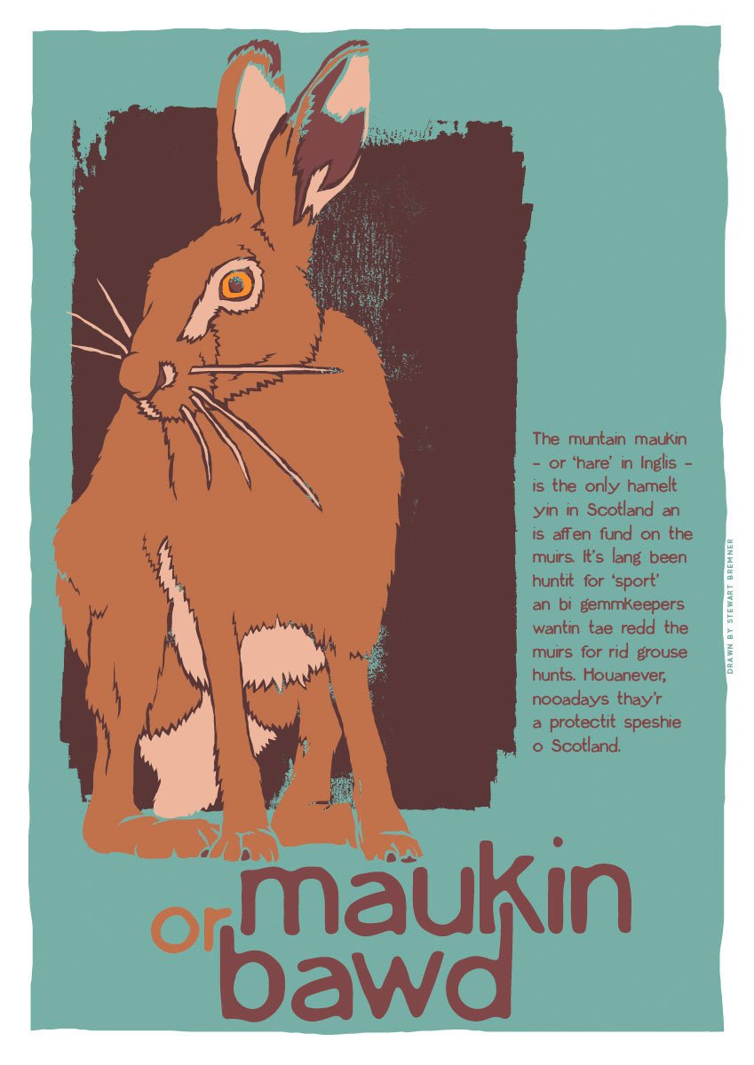 Maukin or bawd – giclée print – Indy Prints by Stewart Bremner