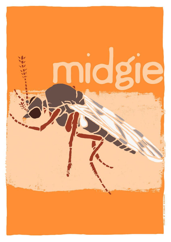 Midgie – giclée print – Indy Prints by Stewart Bremner