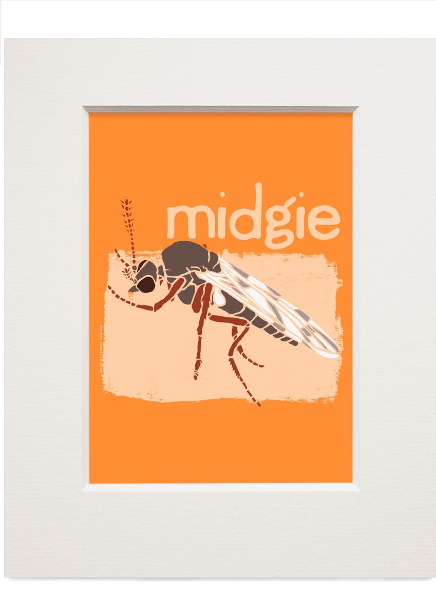 Midgie – small mounted print - Indy Prints by Stewart Bremner