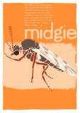 Midgie – poster – Indy Prints by Stewart Bremner