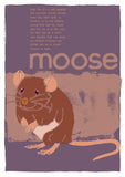 Moose – poster – Indy Prints by Stewart Bremner