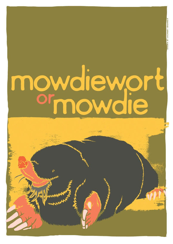 Mowdiewort or mowdie – poster – Indy Prints by Stewart Bremner