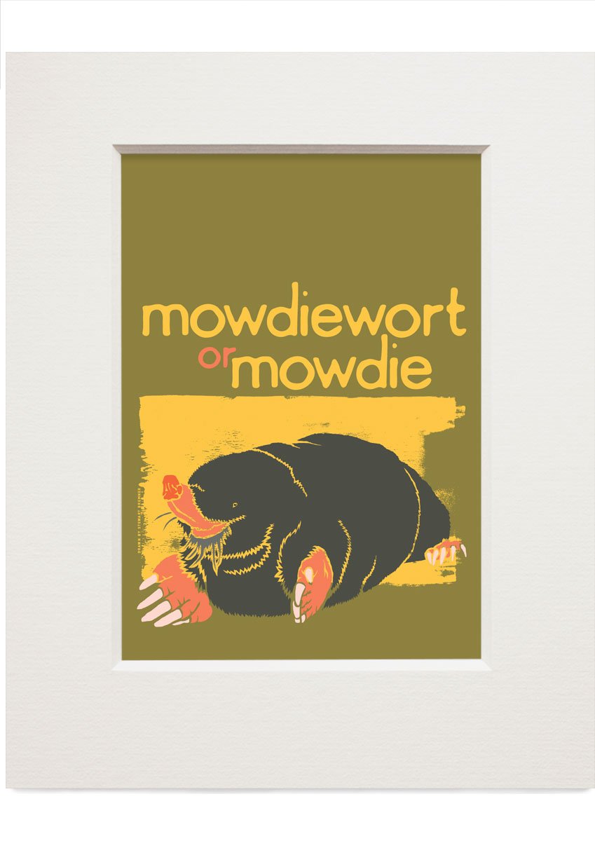 Mowdiewort or mowdie – small mounted print - Indy Prints by Stewart Bremner
