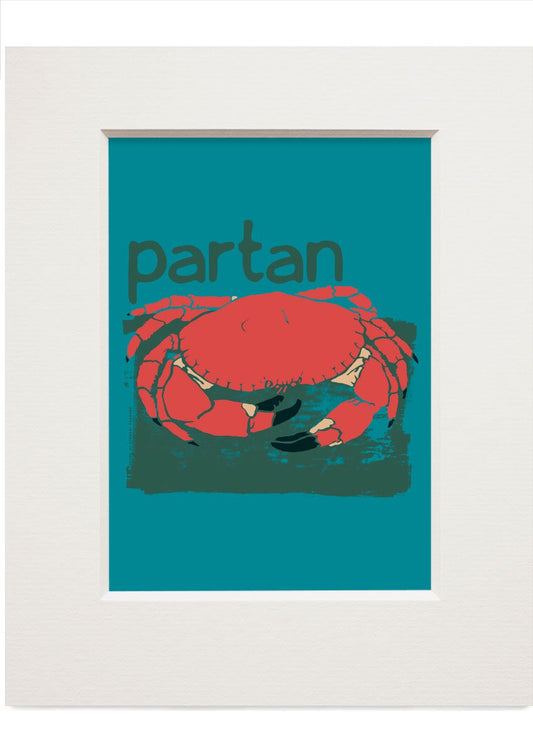 Partan – small mounted print - Indy Prints by Stewart Bremner