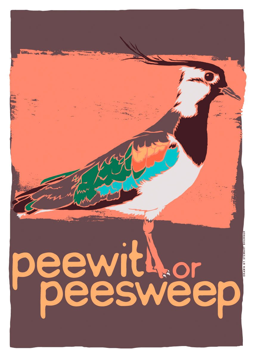 Peewit or peesweep – giclée print – Indy Prints by Stewart Bremner