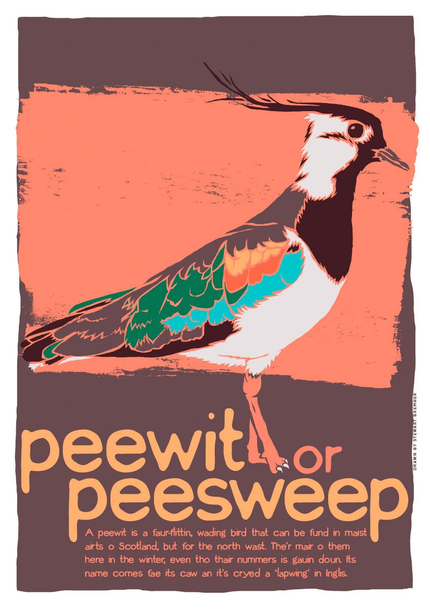 Peewit or peesweep – poster – Indy Prints by Stewart Bremner