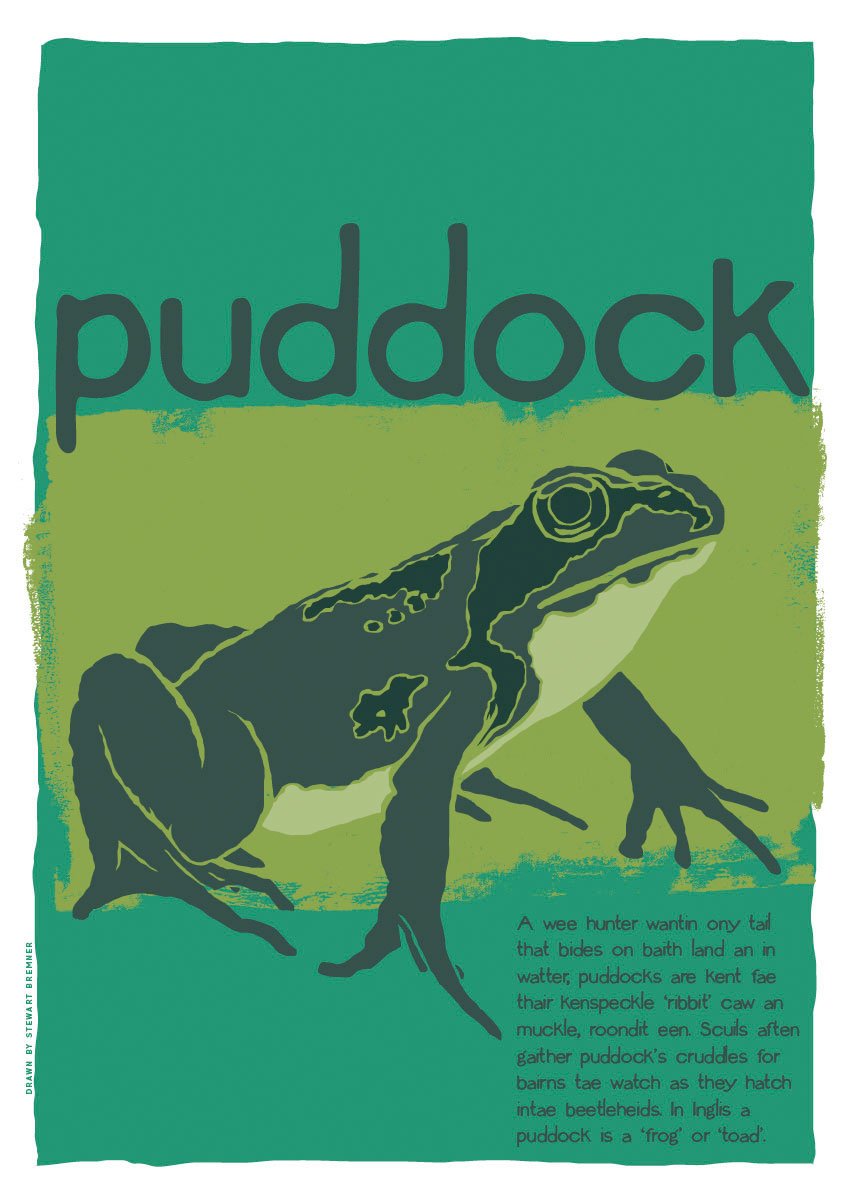 Puddock – poster – Indy Prints by Stewart Bremner