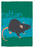 Rattan – giclée print – Indy Prints by Stewart Bremner