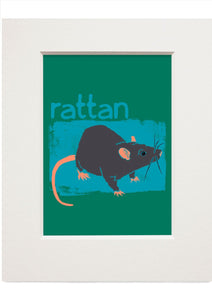 Rattan – small mounted print - Indy Prints by Stewart Bremner