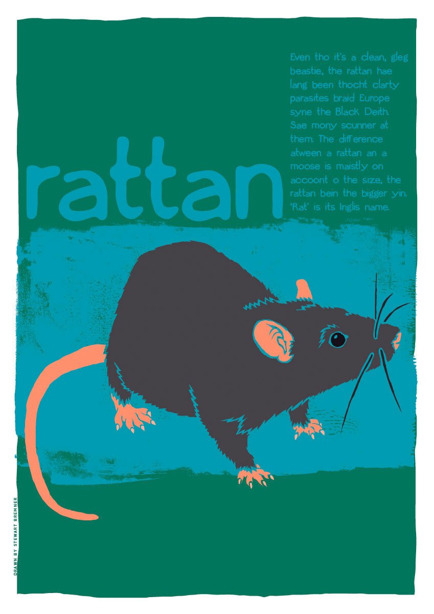 Rattan – poster – Indy Prints by Stewart Bremner