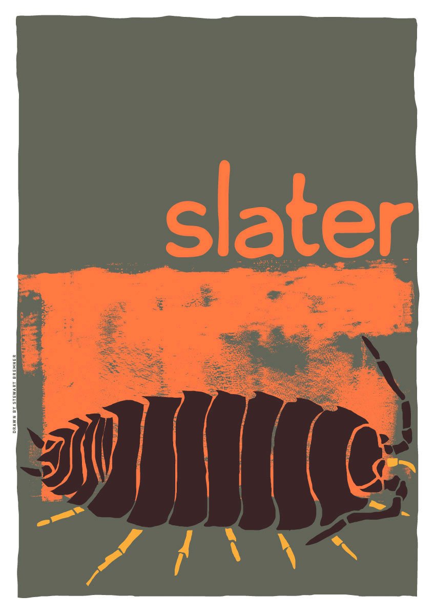 Slater – poster – Indy Prints by Stewart Bremner