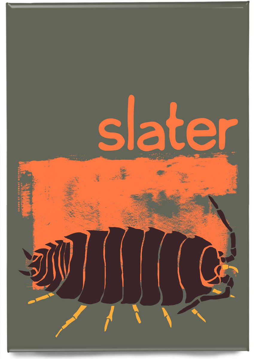 Slater – magnet – Indy Prints by Stewart Bremner