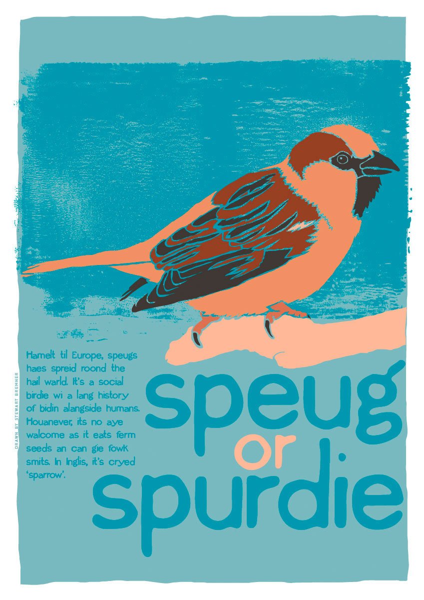 Speug or spurdie – giclée print – Indy Prints by Stewart Bremner