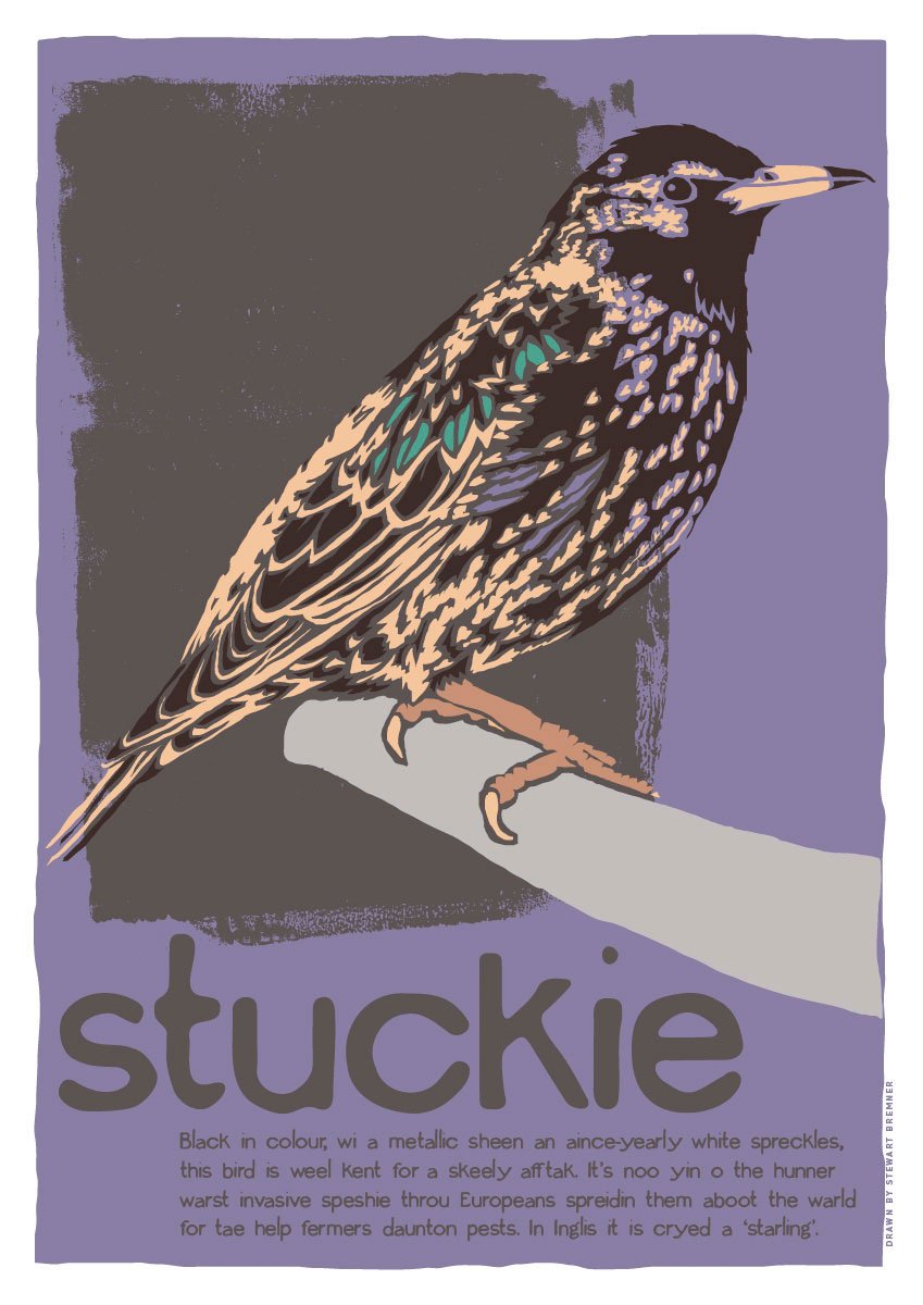 Stuckie – poster – Indy Prints by Stewart Bremner