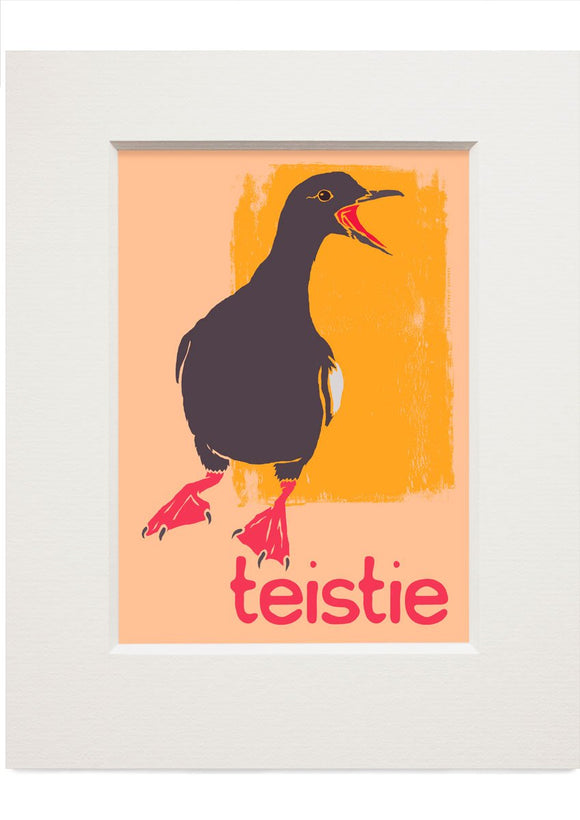 Teistie – small mounted print - Indy Prints by Stewart Bremner