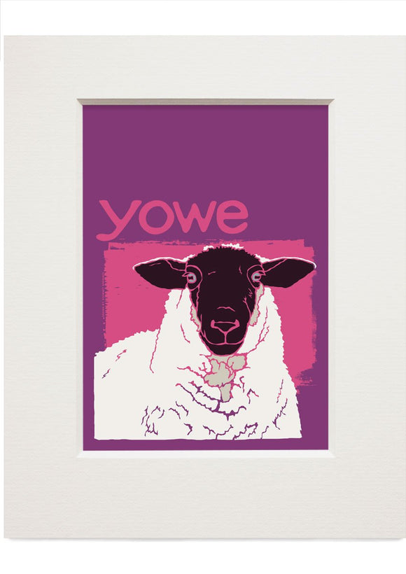 Yowe – small mounted print - Indy Prints by Stewart Bremner